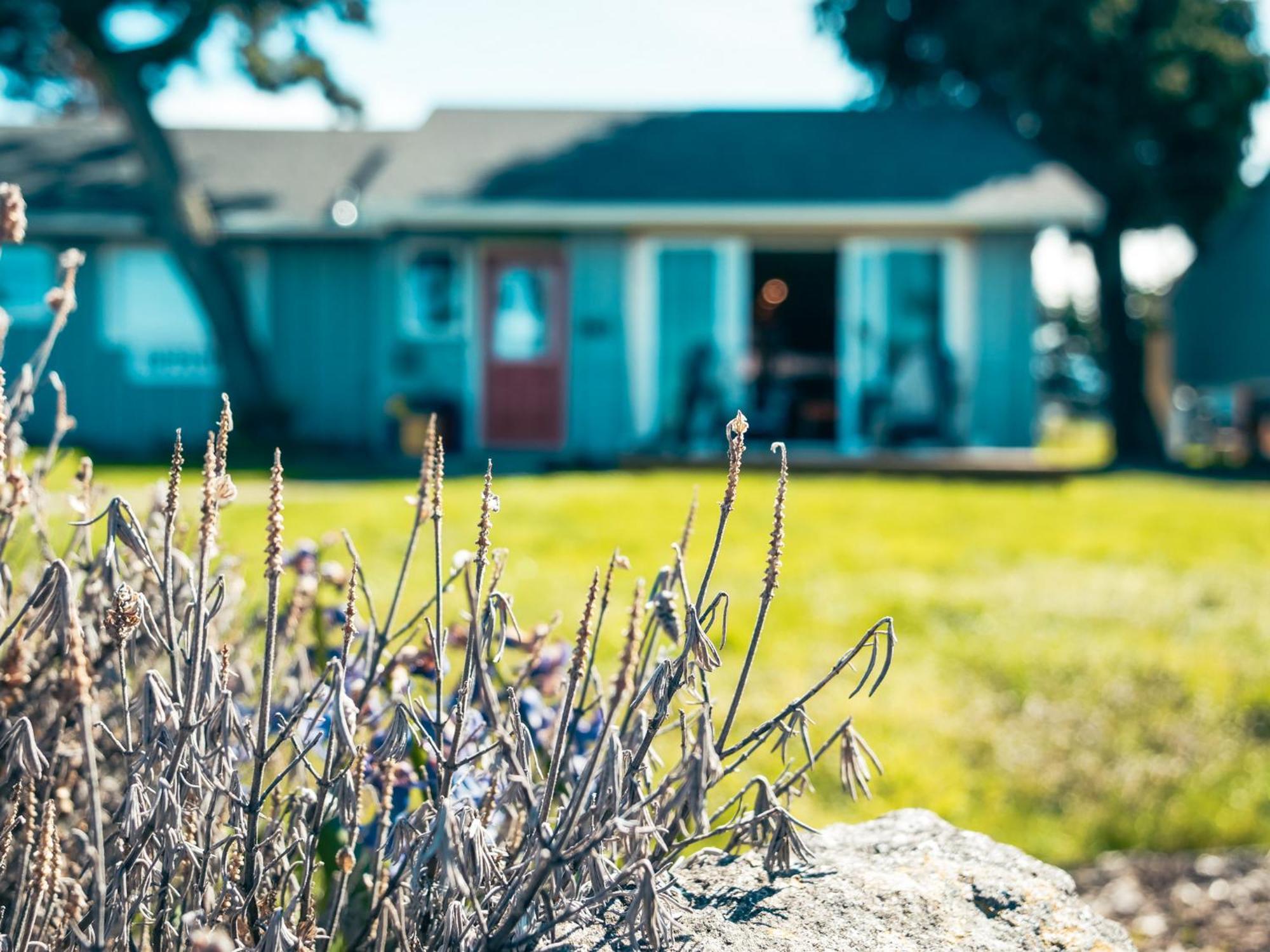 Dungeness Bay Cottages Sequim Kültér fotó